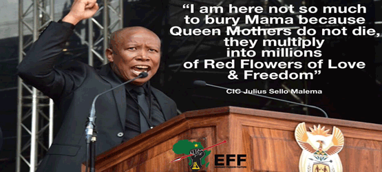Economic Freedom Fighters - Julius Malema